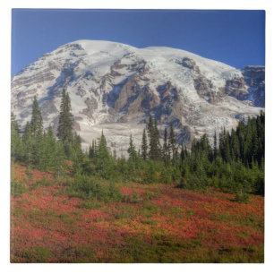 Azulejo De Cerâmica WA, Parque Nacional Mt. Rainier, Paradise Valley