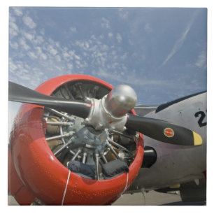 Azulejo De Cerâmica WA, reunião de Arlington, Arlington, segunda