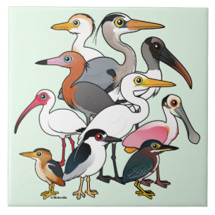 Azulejo De Cerâmica Waders norte-americanos
