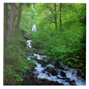 Azulejo De Cerâmica Wahkeena Falls, OU