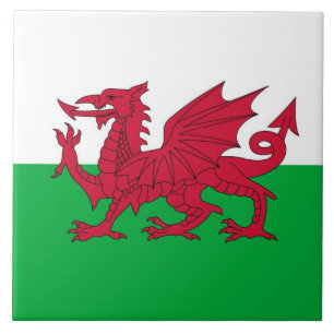 AZULEJO DE CERÂMICA WALES