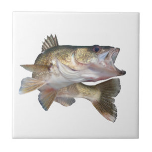 Azulejo De Cerâmica Walleye da pesca