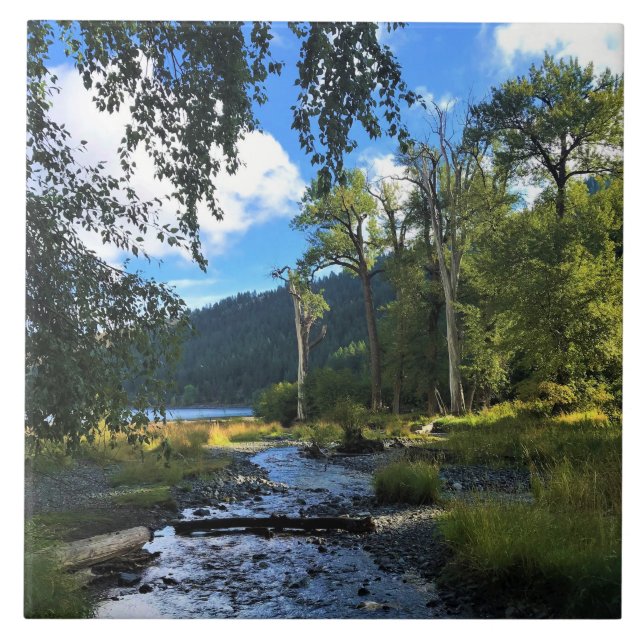 Azulejo De Cerâmica Wallowa Lake State Park, OR (Frente)