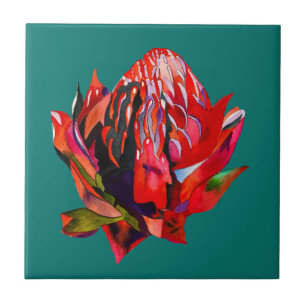 Azulejo De Cerâmica Waratah, cor-de-água natural da Austrália