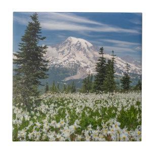 Azulejo De Cerâmica Washington, Parque Nacional Mount Rainier 1