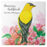 Washington Souvenir American Goldfinch Amarelo