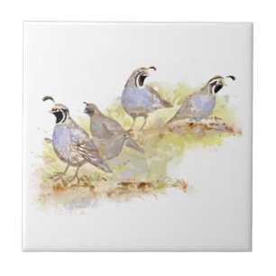 Azulejo De Cerâmica Watercolor California Quail Bird