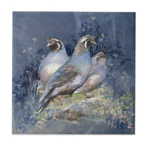 Azulejo De Cerâmica Watercolor California Quail Willife Bird