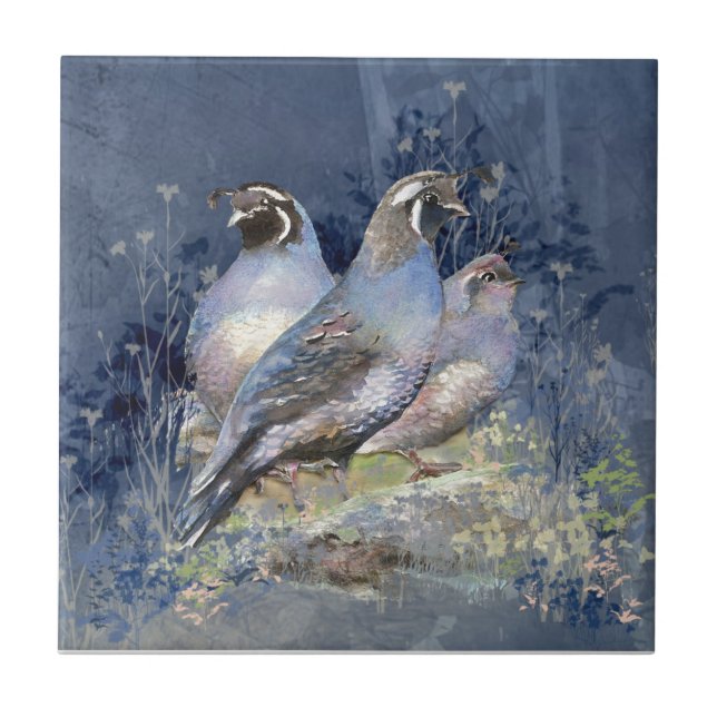 Azulejo De Cerâmica Watercolor California Quail Willife Bird (Frente)