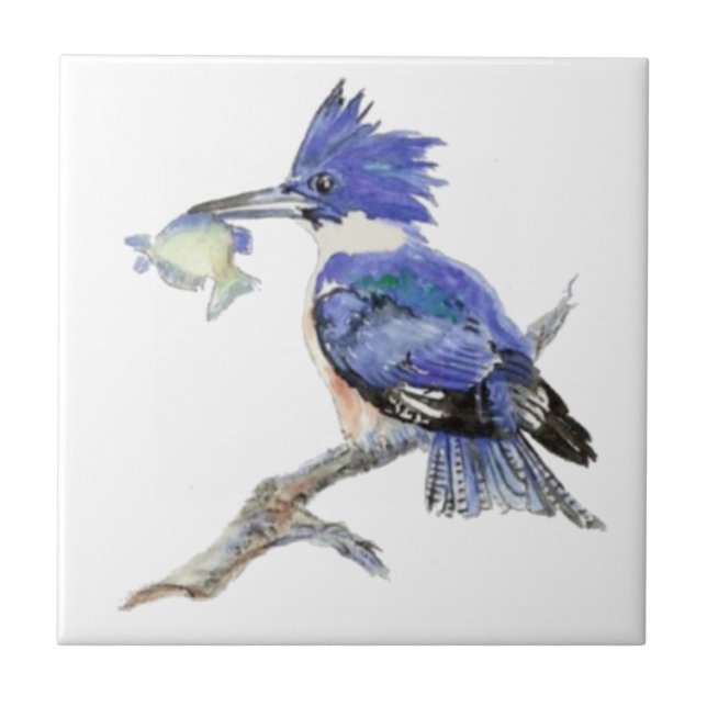 Azulejo De Cerâmica Watercolor Kingfisher Bird Willife (Frente)