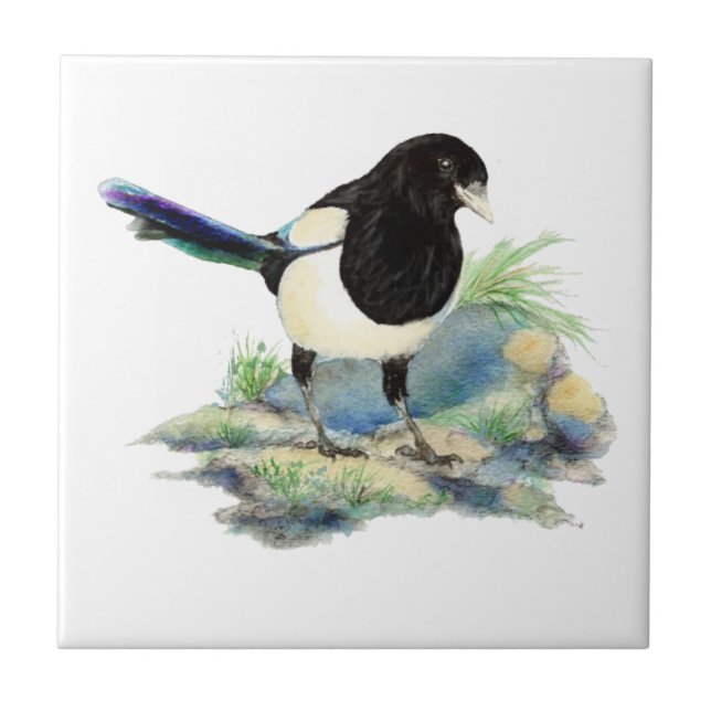 Azulejo De Cerâmica Watercolor Magpie Bird Olhando para você (Frente)