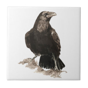 Azulejo De Cerâmica Watercolor Raven Bird Willife Art
