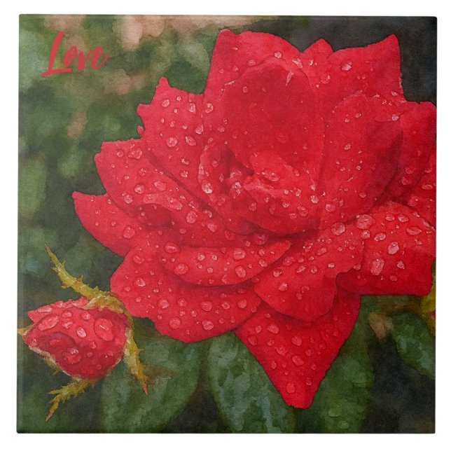 Azulejo De Cerâmica Watercolor Rose (Frente)