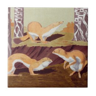 Azulejo De Cerâmica Weasel Animal Vintage Impressão