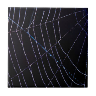 Azulejo De Cerâmica Web Spider