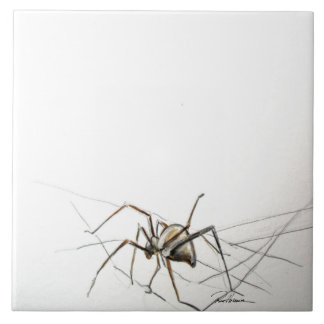 Azulejo De Cerâmica Web Spider
