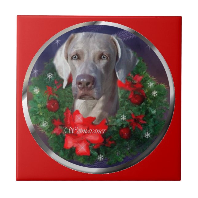 Azulejo De Cerâmica Weimaraner Christmas (Frente)