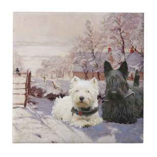 Azulejo De Cerâmica Westie & Scottie Winter Magpie