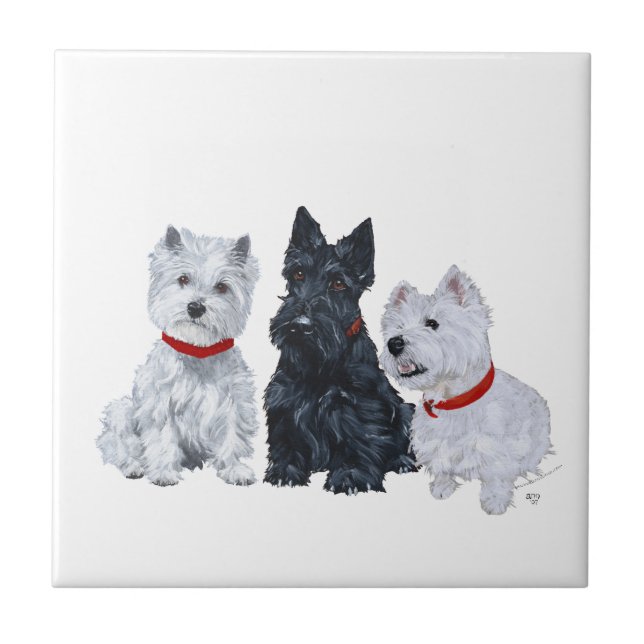 Azulejo De Cerâmica Westies e um Scottie Juntos (Frente)