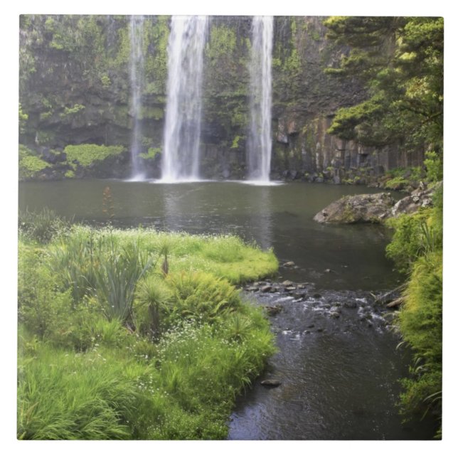 Azulejo De Cerâmica Whangarei Falls, Whangarei, Northland, Novo 2 (Frente)