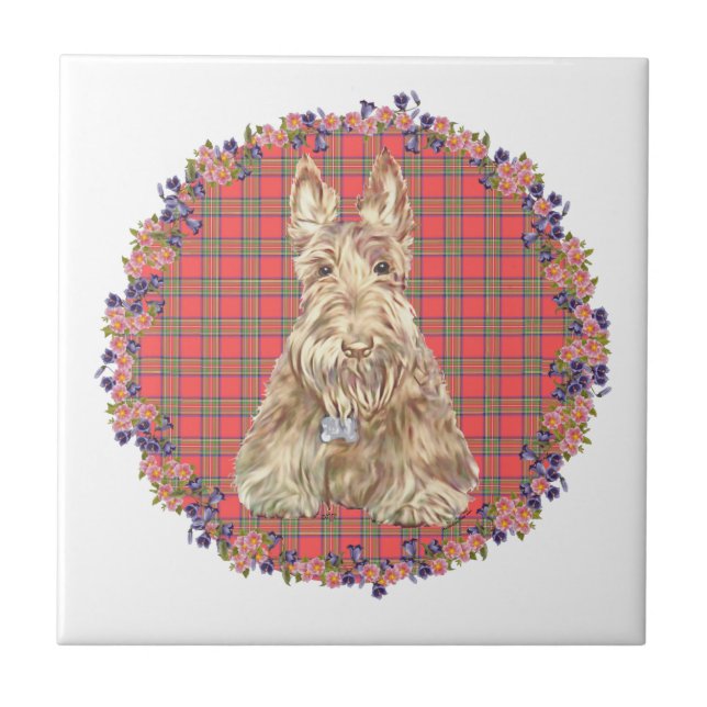 Azulejo De Cerâmica Wheaten Scottie Tartan (Frente)