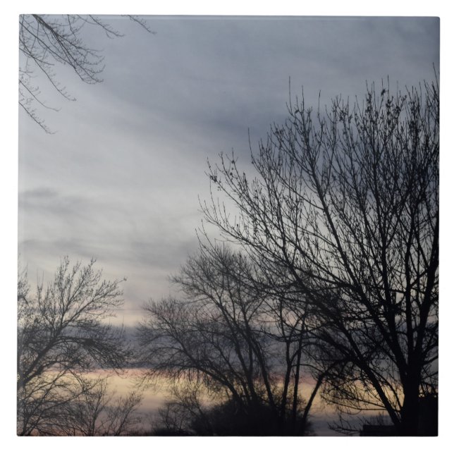 Azulejo De Cerâmica Whispers of Winter  (Frente)