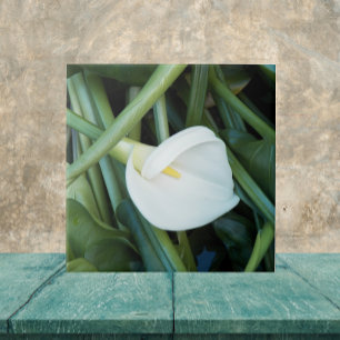 Azulejo De Cerâmica White Calla Lily e Green Foliage Floral