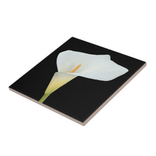 Azulejo De Cerâmica White Calla Lily Flower Backyard Foto do jardim