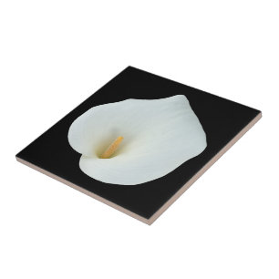 Azulejo De Cerâmica White Calla Lily Flower Backyard Foto do jardim