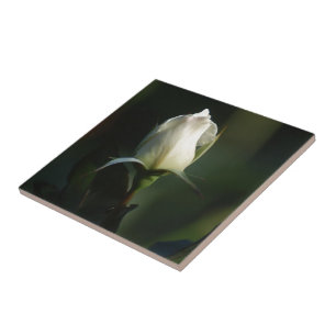 Azulejo De Cerâmica White Rosebud