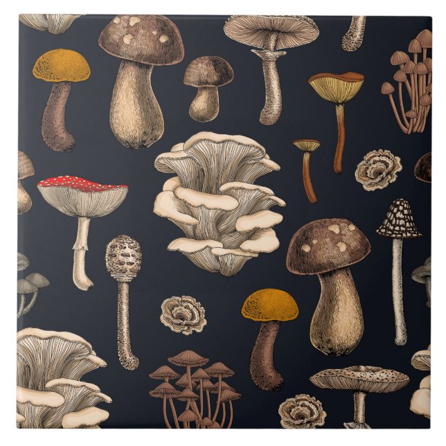 Azulejo De Cerâmica Wild Mushrooms  on graphite black (Frente)