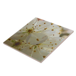 Azulejo De Cerâmica Wild Plum Blossoms Impressionista Art