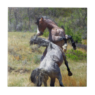 Azulejo De Cerâmica Wild Stallions combatendo Theodore Roosevelt NP