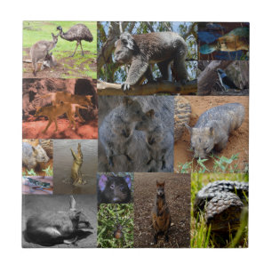 Azulejo De Cerâmica Wild Wonders: Cativando a Colagem de Fotos Austral