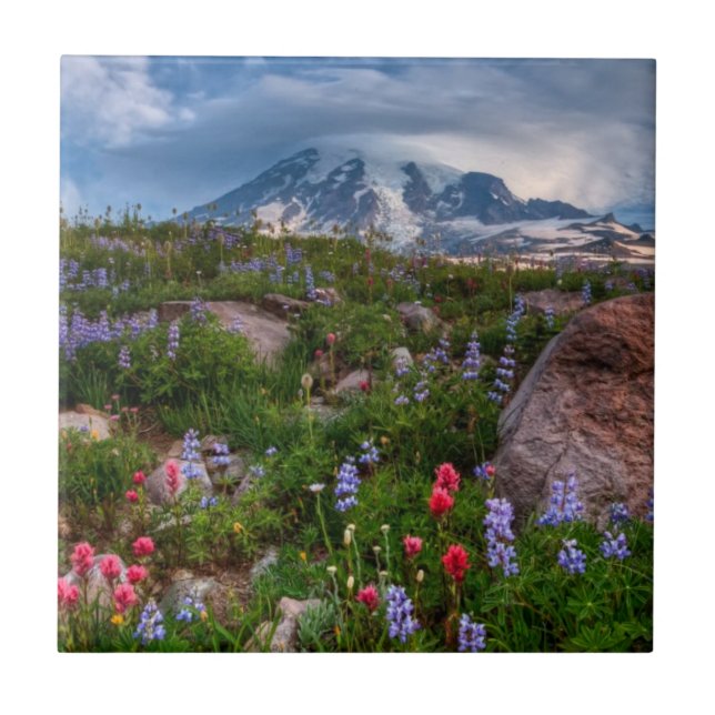 Azulejo De Cerâmica Wildflowers (Frente)