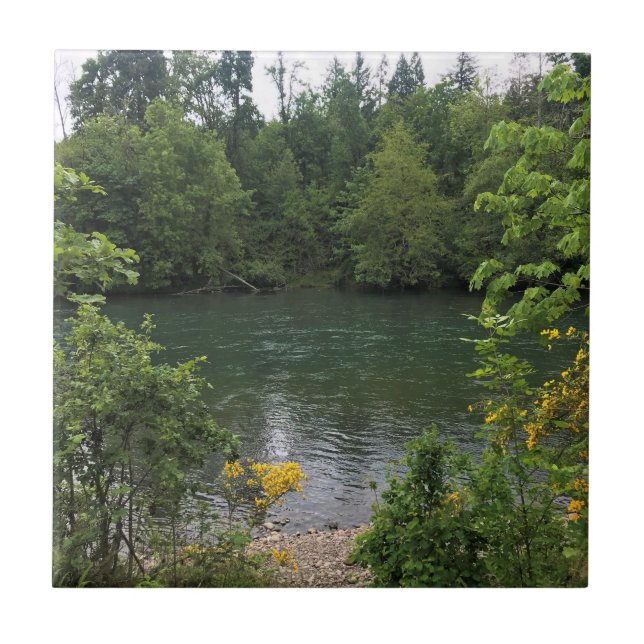Azulejo De Cerâmica Willamette River, Elijah Bristow State Park, OR (Frente)