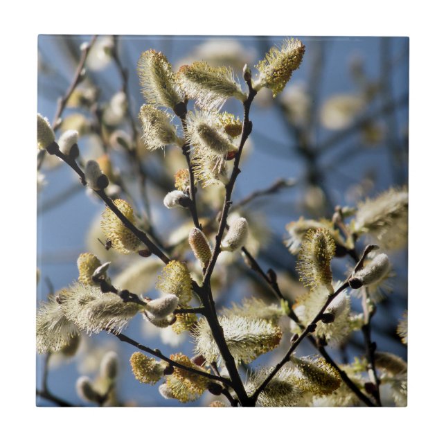 AZULEJO DE CERÂMICA  WILLOW TREE (Frente)