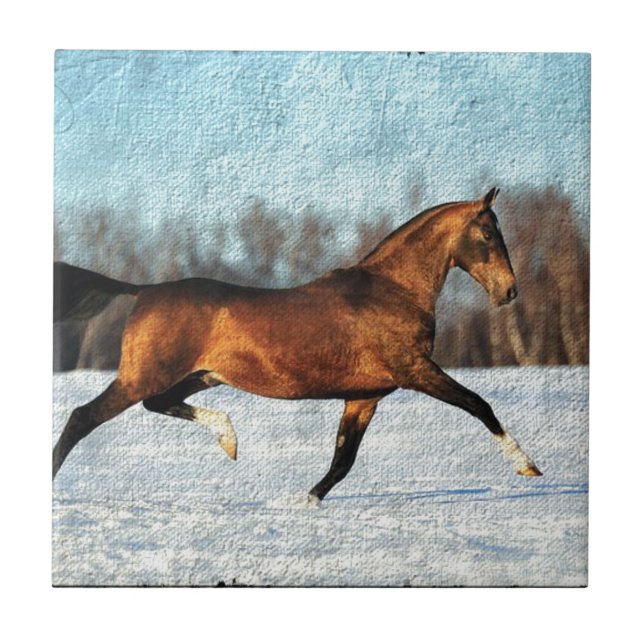 Azulejo De Cerâmica Winter Akhal-teke (Frente)