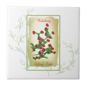 Azulejo De Cerâmica Winterberry de Pacote de Semente de Água