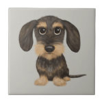 Azulejo De Cerâmica Wirehaired Dachshund | Cachorro de Cartoon Teckel<br><div class="desc">Um javali selvagem com cabelos irregulares e um bronzeado de Teckel. Visite o Doodle World de Jenn para obter ainda mais acessórios para casa e escritório com este engraçado Dachshund e mais designs originais de cachorros-engraçados.</div>