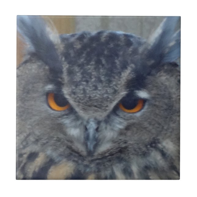 Azulejo De Cerâmica Wise One (Frente)