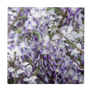 Azulejo De Cerâmica Wisteria