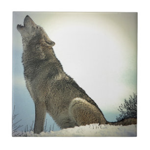 Azulejo De Cerâmica Wolf Howling em neve