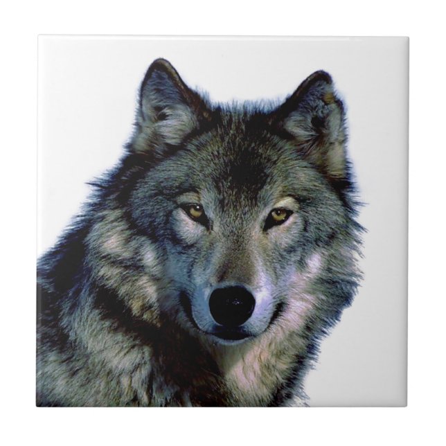 Azulejo De Cerâmica Wolf Portrait (Frente)