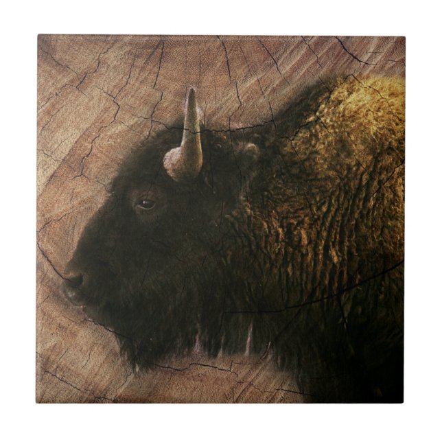 Azulejo De Cerâmica Wood Bison Buffalo (Frente)