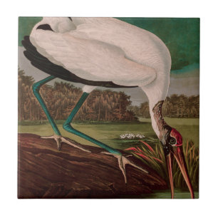 Azulejo De Cerâmica Wood Ibis Birds da América - Impressão de Audubo