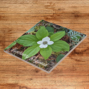 Azulejo De Cerâmica Woodland Bunchberry Dogwood Floral