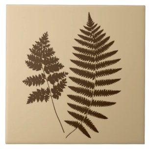 Azulejo De Cerâmica Woodland Fern, Beige e Brown Escuro