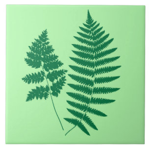 Azulejo De Cerâmica Woodland Fern, Emerald e Light Green