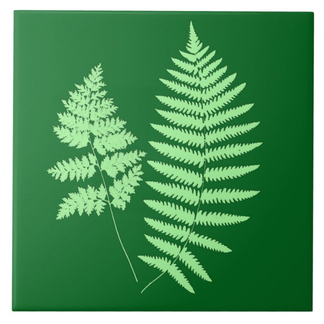 Azulejo De Cerâmica Woodland Fern, Emerald e Light Green (Frente)
